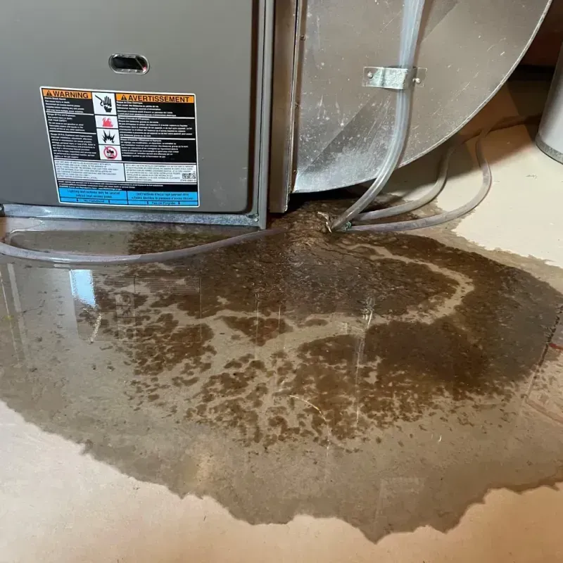 Appliance Leak Cleanup in Lincoln, NE